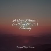 A Yoga Music | Soothing Music | Serenity