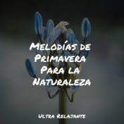 Melodías de Primavera Para la Naturaleza