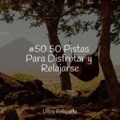 #50 50 Pistas Para Disfrutar y Relajarse