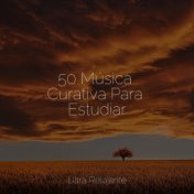 50 Música Curativa Para Estudiar