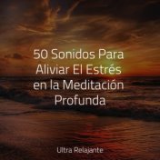 50 Sonidos Para Aliviar El Estrés en la Meditación Profunda