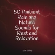 50 Ambient Rain and Nature Sounds for Rest and Relaxation