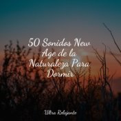 50 Sonidos New Age de la Naturaleza Para Dormir