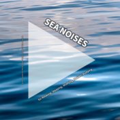Sea Noises for Relaxing, Sleeping, Studying, Holistic Studying