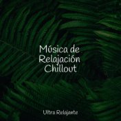 Música de Relajación Chillout