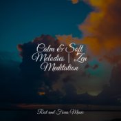 Calm & Soft Melodies | Zen Meditation