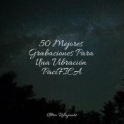 50 Mejores Grabaciones Para Una Vibración PacíFICA