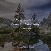 Transcendental Sounds | Sleep and Serenity