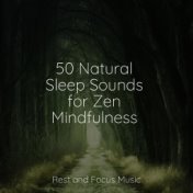 50 Natural Sleep Sounds for Zen Mindfulness