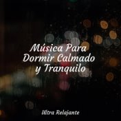 Música Para Dormir Calmado y Tranquilo