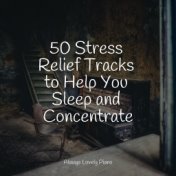 50 Stress Relief Tracks to Help You Sleep and Concentrate