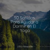 50 Sonidos Para Ayudar a Dormir en El Yoga