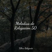 Melodías de Relajación 50