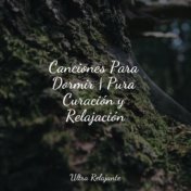 Canciones Para Dormir | Pura Curación y Relajación