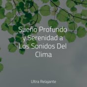 Sueño Profundo y Serenidad a Los Sonidos Del Clima