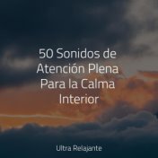 50 Sonidos Hipnóticos Para Dormir