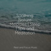 Sleepy Melodies | Rest and Serenity