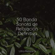 50 Banda Sonora de Relajación Definitiva