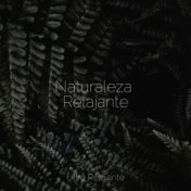 Naturaleza Relajante