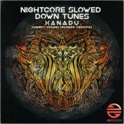 Xanadu (feat. Ummet Ozcan) (Slowed Version)