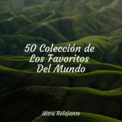 50 Colección de Los Favoritos Del Mundo