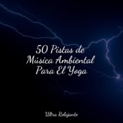 50 Pistas de Música Ambiental Para El Yoga