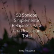 50 Sonidos Simplemente Relajantes Para Una Relajación Total