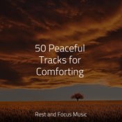 50 Peaceful Tracks for Comforting