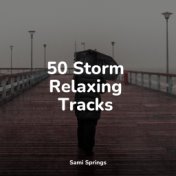 50 Storm Relaxing Tracks