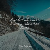 Sonidos Calmantes | Sueño y Alivio Del Estrés