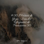 #50 Música de Yoga - Sonidos Relajantes de Primavera 50