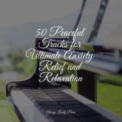50 Peaceful Tracks for Ultimate Anxiety Relief and Relaxation