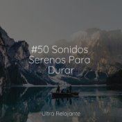 #50 Sonidos Serenos Para Durar
