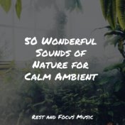 50 Wonderful Sounds of Nature for Calm Ambient