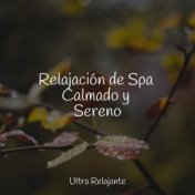 Relajación de Spa Calmado y Sereno