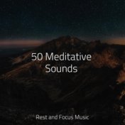 50 Meditative Sounds