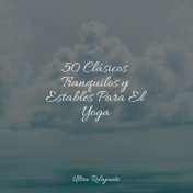 50 Clásicos Tranquilos y Estables Para El Yoga