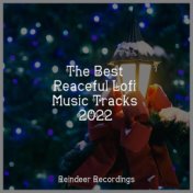 The Best Peaceful Lofi Music Tracks 2022
