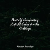 Best Of Comforting Lofi Melodies for the Holidays