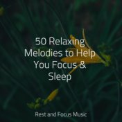 50 Relaxing Melodies to Help You Focus & Sleep