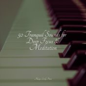 50 Tranquil Sounds for Deep Focus & Meditation