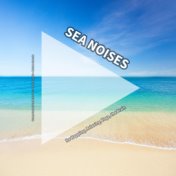 Sea Noises for Napping, Relaxing, Yoga, the Brain