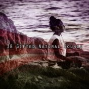 38 Gifted Natural Sounds
