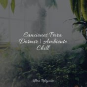 Canciones Para Dormir | Ambiente Chill