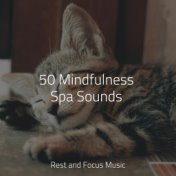 50 Mindfulness Spa Sounds