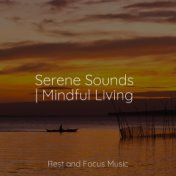 Serene Sounds | Mindful Living