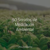 50 Sonidos de Meditación Ambiental