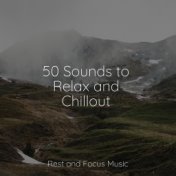 50 Sounds to Relax and Chillout