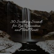 50 Soothing Sounds for Zen Relaxation and Total Beats