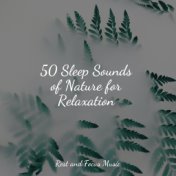 50 Sleep Sounds of Nature for Relaxation